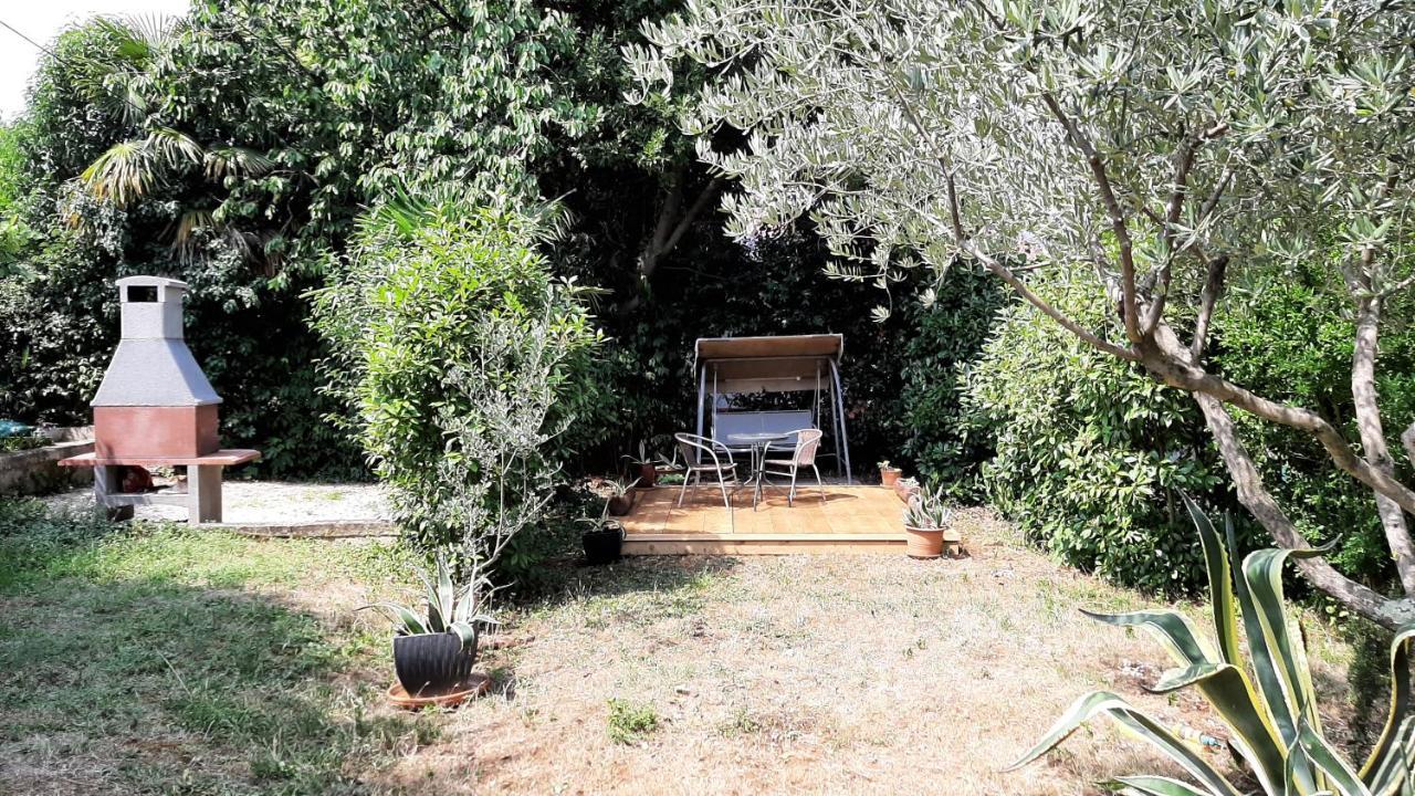Studio Orhidea Blu Rovinj Dış mekan fotoğraf